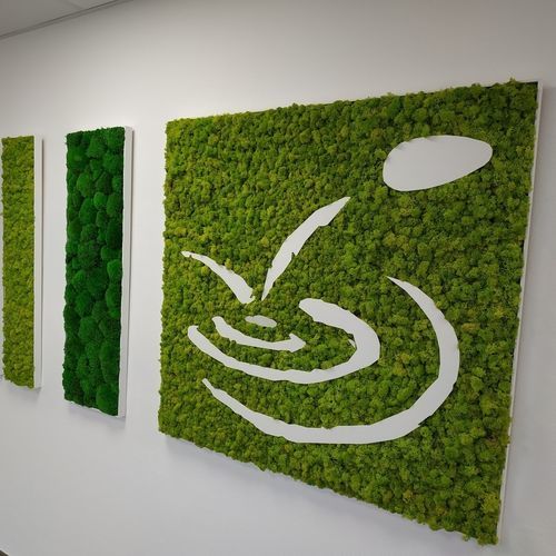 Quadro vivo estabilizado - Végétal Indoor - em líquen / para ambiente interno / acústico