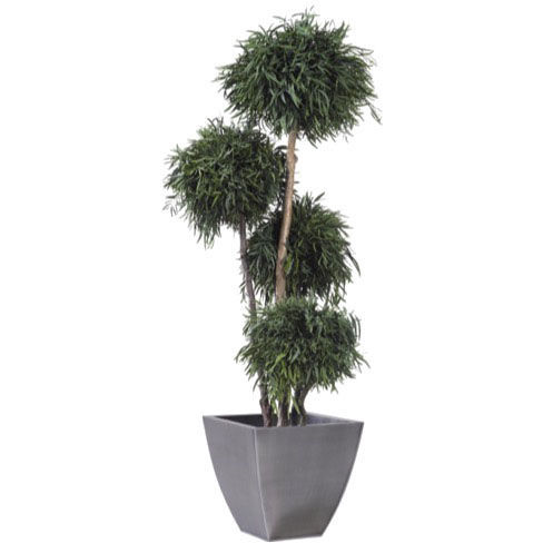 Planta ornamental estabilizada - NICOLY - Végétal Indoor - grande / para ambiente interno