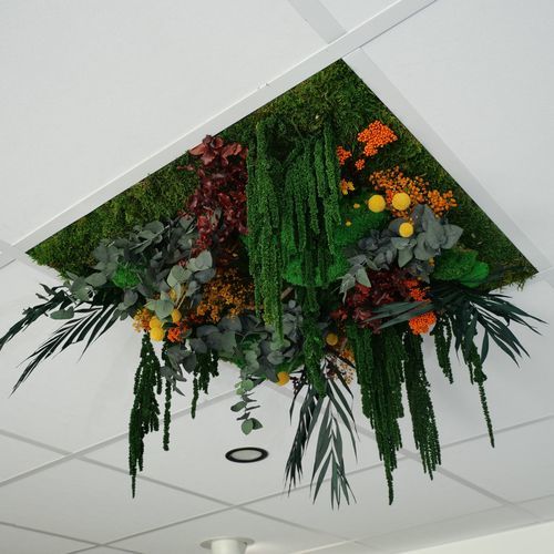 Forro verde - Orange - Végétal Indoor - em PET / em placas / para ambiente interno