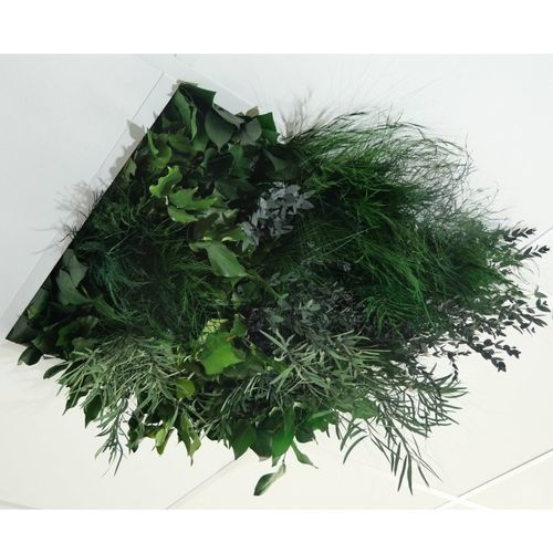Forro em PET - Jungle - Végétal Indoor - em placas / para ambiente interno / acústico