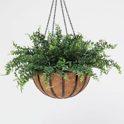 Vaso de jardim em aço - FERN - PLANTERS UNLIMITED - em casca de coco / suspenso / redondo