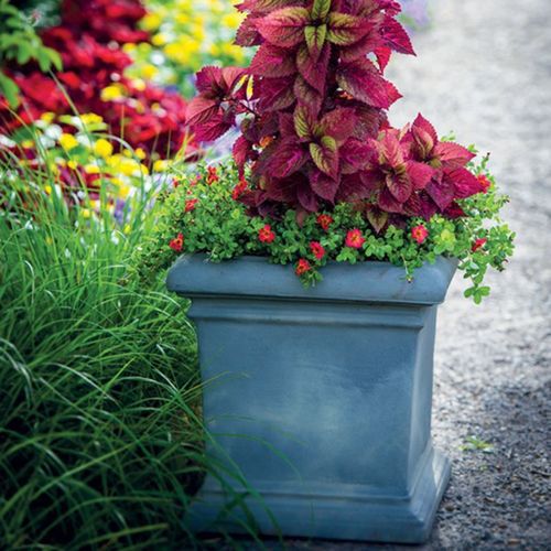 Vaso de jardim em material plástico - DORCHESTER  - CRESCENT garden - quadrado