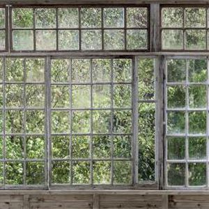 Papel de parede contemporâneo - GREENHOUSE - Mr Perswall - com natureza / multicores / com motivos impressos
