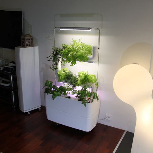 Kit para parede verde com sistema de irrigação integrado - HYDROPONIC 2 - Supragarden