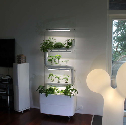 Kit para parede verde com sistema de irrigação integrado - 3PLANTSTEPS® - Supragarden