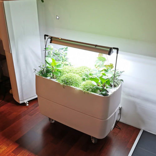 Kit para parede verde com sistema de irrigação integrado - HYDROPONIC - Supragarden