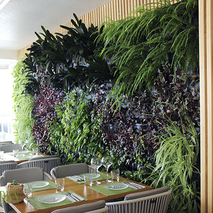 Parede verde estabilizada - AG GUIMUR-ABBACO - AIR GARDEN - natural / de folhagem densa / para ambiente interno