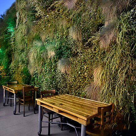Parede verde de plantas naturais - AG GUIMUR-CHILL OUT - AIR GARDEN - natural / de folhagem densa / para ambiente externo