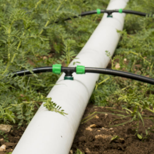 Mangueira de irrigação - H6000 PE - Rivulis - em PE / com gotejadores / plana