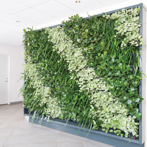 Parede verde estabilizada - Natural Greenwalls - de plantas naturais / natural / para ambiente interno
