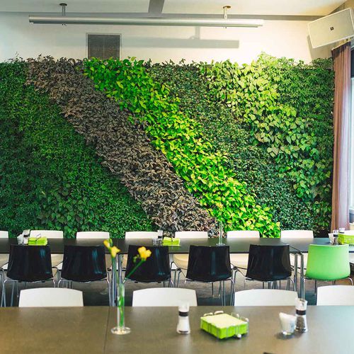 Parede verde estabilizada - LIF - Natural Greenwalls - de plantas naturais / natural / para ambiente interno