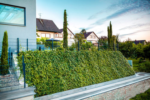 Estabilizador de solo - SOIL STABILIZATION - hedera screens