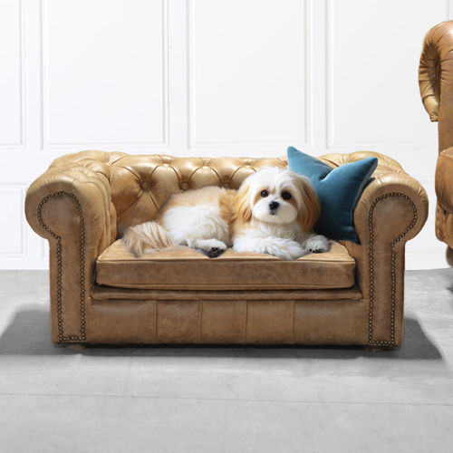 Sofá para cão em couro - Harleq - branco / azul / dourado