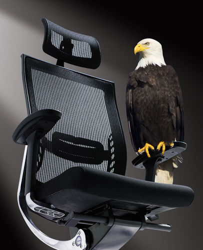 Poltronas de escritório contemporânea - ABANT - Flekssit Office Furniture - em alumínio / ergonômica / ajustável