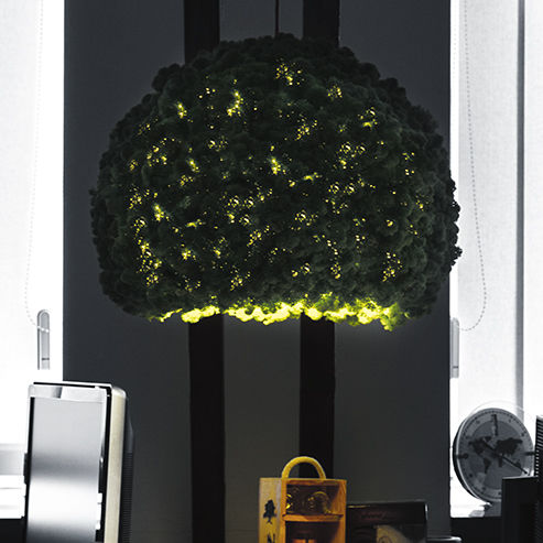 Parede verde estabilizada - Lamps and lights - MOOS MOOS MANUFAKTUR - em painel modular / natural / de musgo estabilizado