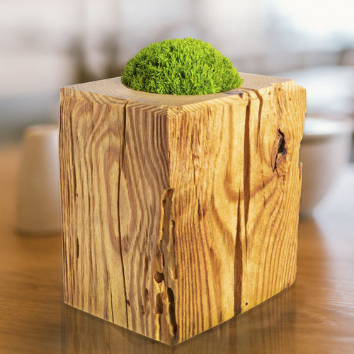 Vaso contemporâneo - TOUCH ME Moss HEDGEHOG - MOOS MOOS MANUFAKTUR - em madeira / feito à mão