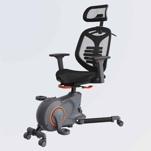 Bicicleta estática para ambiente interno - F216DBU - Loctek Ergonomic Technology Corp. - da linha comercial / para uso doméstico