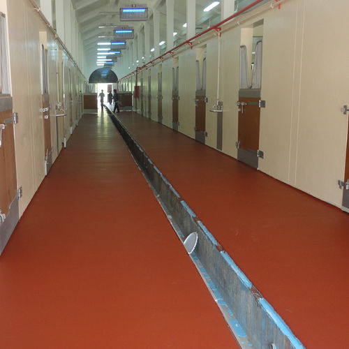 Reboco de alisamento - POLYSPORT 1053 - KDF - Sports Flooring Production - impermeabilizante / de acabamento / para pavilhão esportivos