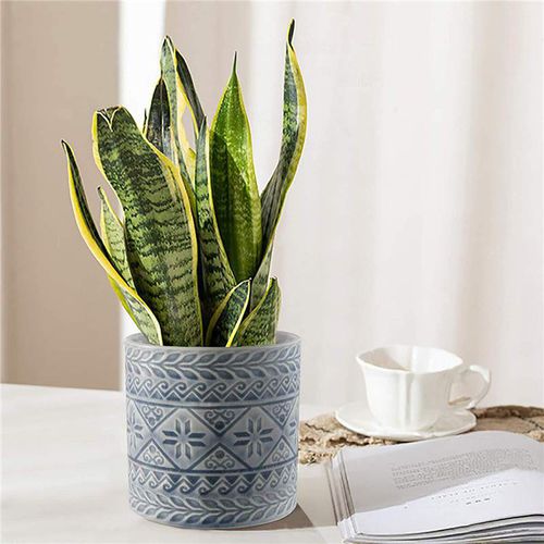 Vaso de jardim em cerâmica esmaltada - AN0064 - Guangzhou Ancooly Gardening LTD - redondo / da linha residencial / para hotel