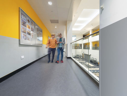 Protetor de parede em TPE - ACROVYN PVC-FREE - CS Construction Specialties - decorativo / em folha