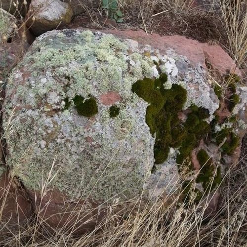 Bloco de pedra para áreas verdes - BORDEAUX RED - Canteras el cerro s. l.