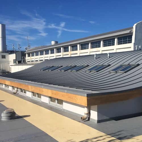 Manta impermeabilizante de proteção - DESIGN - RENOLIT ALKORPLAN - para telhado inclinado / para telhado / em rolo