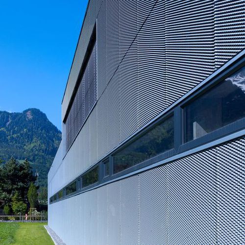 Revestimento de fachada em painéis - SURFACE DESIGN  - RHEINZINK - em zinco / em titânio / em chapa perfurada