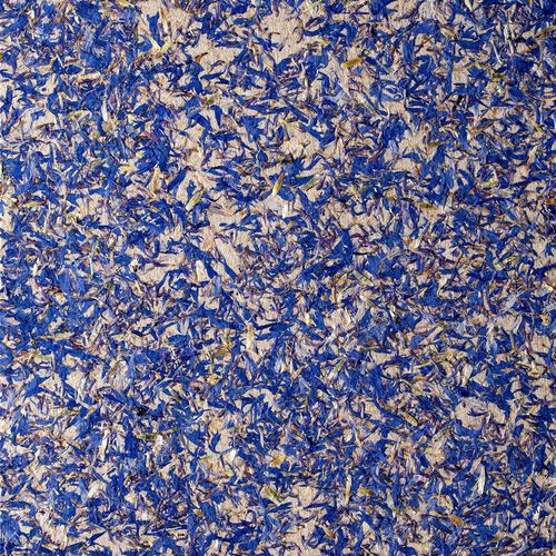 Painel de revestimento - BLEUETS - OBERFLEX - para parede / de alta resistência / flexível