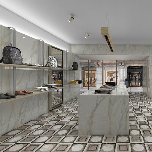 Placas de revestimento em grés porcelanato - BORGHINI - APAVISA PORCELANICO - polida / brilhante / acetinada
