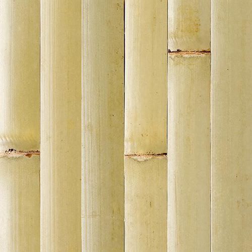 Lambril em madeira - TAMBOUR : GREEN - Smith & Fong Plyboo