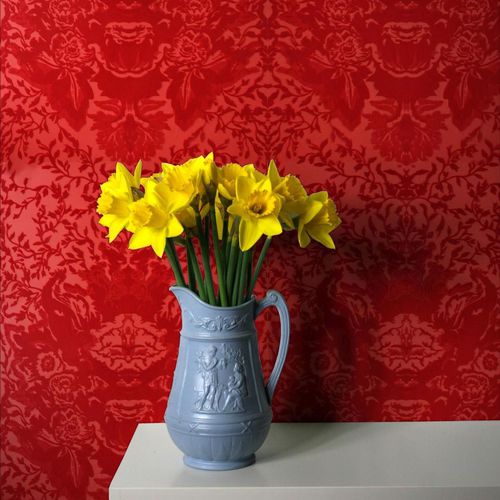 Papel de parede clássico - DEVIL DAMASK FLOCK - Timorous Beasties - com padrão barroco / preto / vermelho