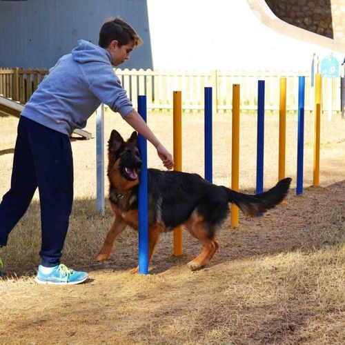Circuito de obstáculos agility - AGY-08  - mobipark - de Slalom / para ambiente externo
