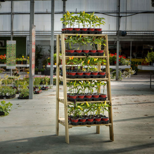Expositor para plantas - Five-Tier - Hortalia - em madeira / de dupla face / com 5 prateleiras
