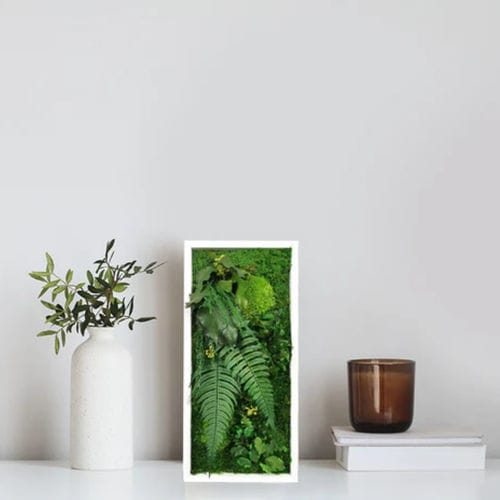 Quadro vivo estabilizado - ELEGANCE 18X38 - naturall green - de musgo estabilizado / de folhagem densa / de flores
