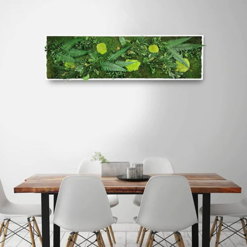 Quadro vivo estabilizado - ELEGANCE 40X140 - naturall green - natural / de flores / para ambiente interno