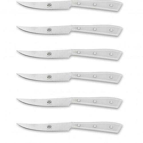Faca de carne com cabo em PMMA - 8 Series - COLTELLERIE BERTI - com lâmina de aço inoxidável