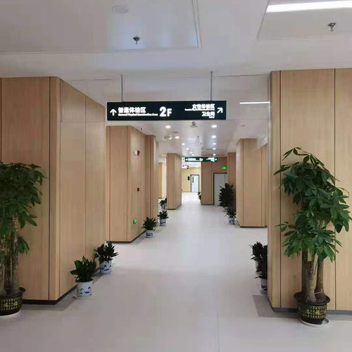 Placa de revestimento aparente em laminado melamínico - A1 LEVEL - Changzhou Zhongtian Fire-proof Decorative Sheets Co., Ltd. - para sala limpa / para edifício de uso público / para parede interna