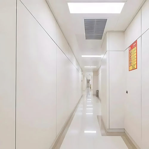Placa de revestimento aparente em HPL - Changzhou Zhongtian Fire-proof Decorative Sheets Co., Ltd. - para sala limpa / para edifício de uso público / para parede interna