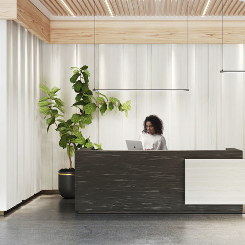 Painel decorativo de revestimento - Eventide - Durasein - para ambiente interno / em Solid Surface / liso