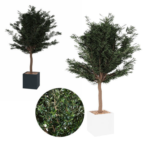 Planta ornamental sintética - Olivier - LILIPOPART - oliveira / grande / para ambiente interno