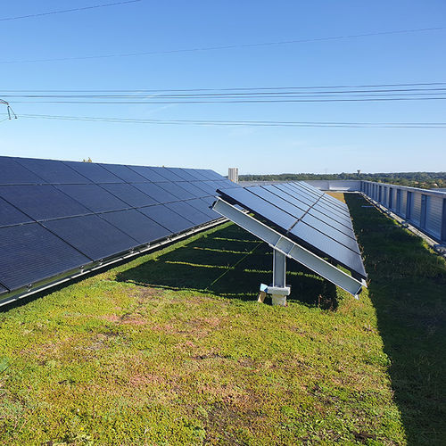 Telhado verde para terraço de cobertura - BIOSOLAIRE - VEGETEK - com módulos fotovoltaicos integrados