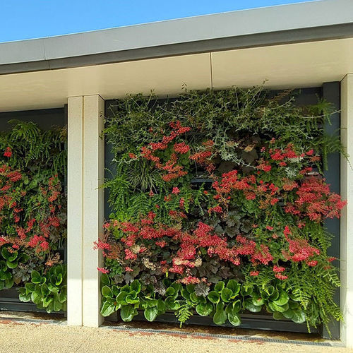 Parede verde de plantas naturais - VEGETEK - natural / de flores / para ambiente interno
