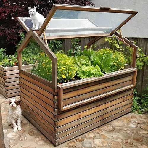 Estufa para jardinagem - Gartenfrosch GmbH - modelo capela / em lariço / mini