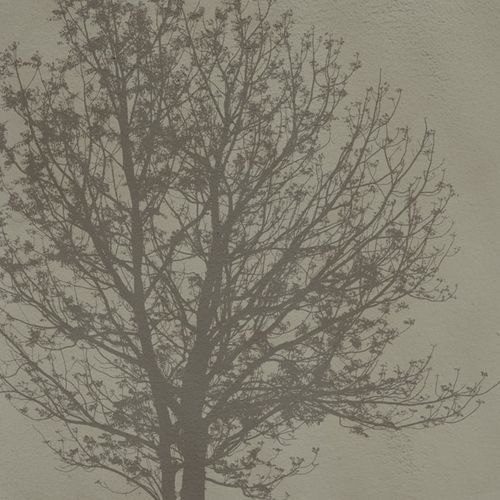 Papel de parede contemporâneo - A Tree - SPAGHETTIWALL - em fibra de celulose / em tecido não tecido / com natureza