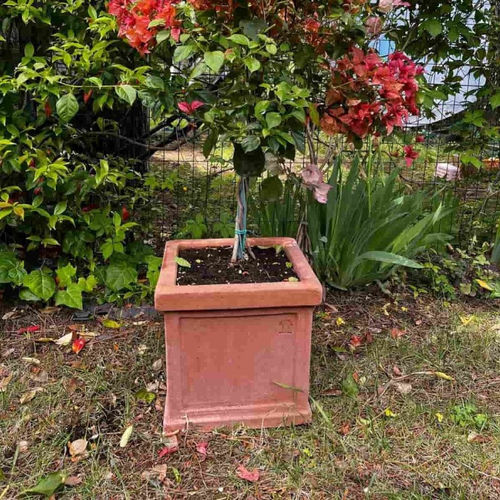 Vaso de jardim em terracota - Cubo Liscio Impruneta - cestenoli srl - quadrado / da linha residencial