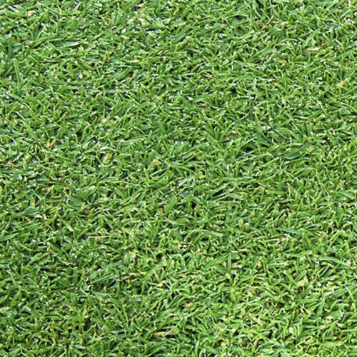 Grama natural - AGROSTIS L93 - Novogreen - em rolo / para campo ou quadra esportiva / para campo de futebol