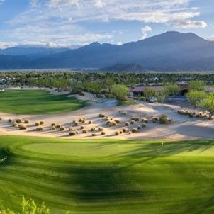 Grama natural - Bermuda ultradwarf TifEagle - Novogreen - em rolo / para campo ou quadra esportiva / para atividade esportiva