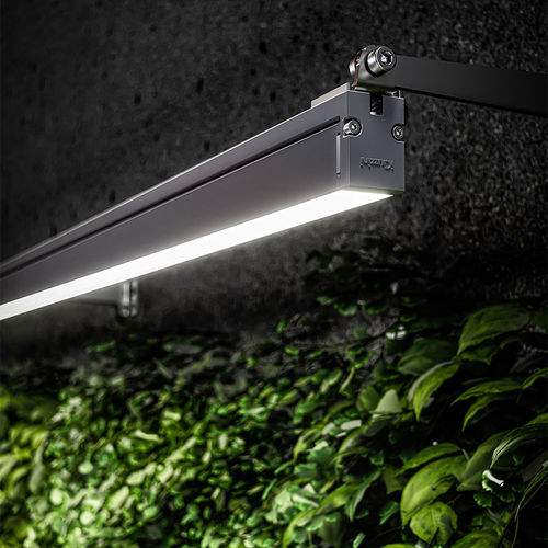 Projetor IP66 - LINEALUCE - iGuzzini - LED RGB / LED RGBW / da linha comercial