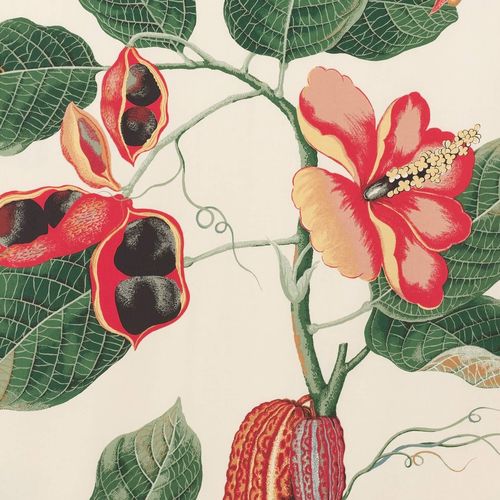 Papel de parede contemporâneo - NAKAI  - PIERRE FREY tissus - em algodão / floral / com motivos impressos