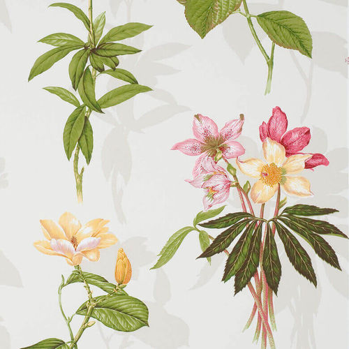Papel de parede clássico - OMBRE  - PIERRE FREY tissus - floral / com motivos impressos / em rolo